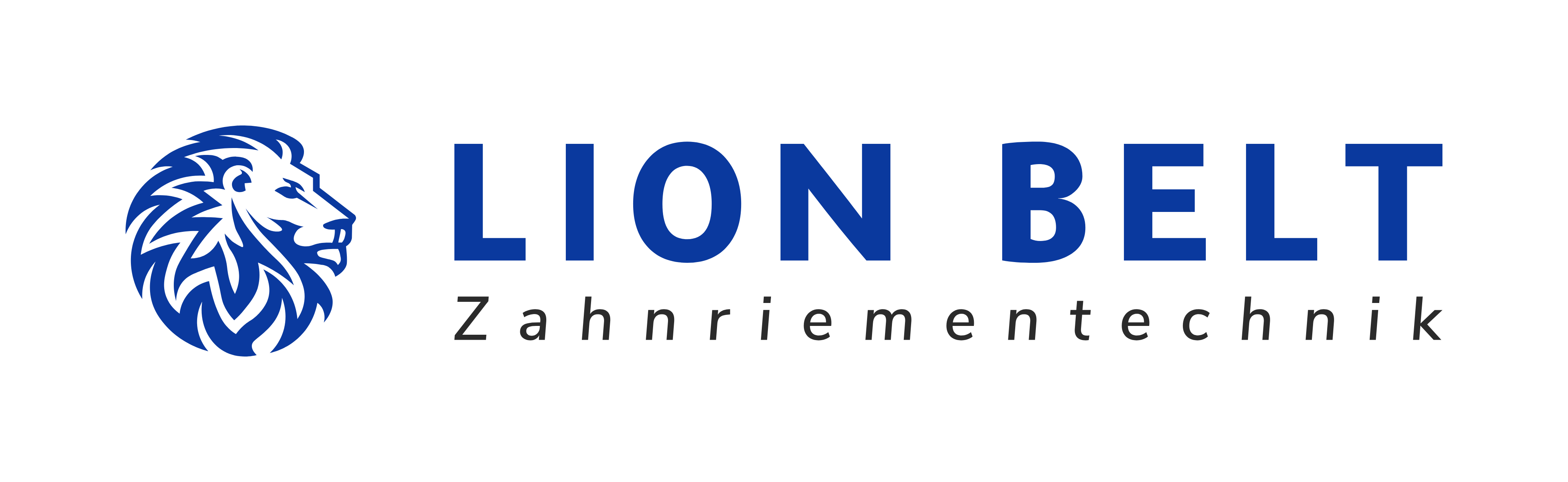Lion Belt Zahnriementechnik 